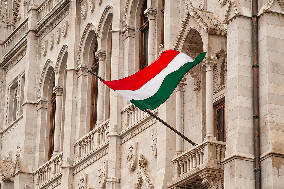 The Hungarian flag waving from a building