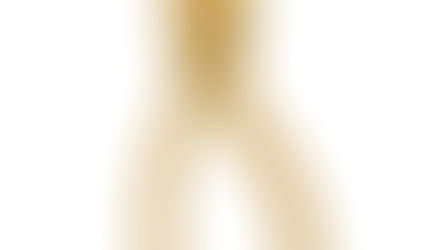 Abolish the Death Penalty Law