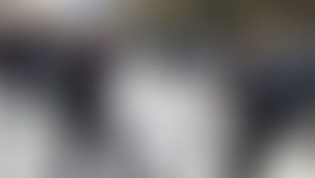 A Proposed Law to Restructure the Police Internal Affairs Bureau (Machash)