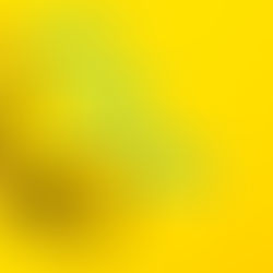 A Historic Ruling: Police Cannot Use Racial Profiling to Ask for ID