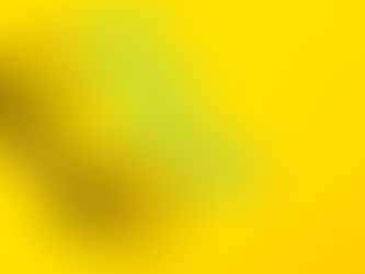 A Historic Ruling: Police Cannot Use Racial Profiling to Ask for ID