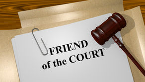 Settler Violence and Community Expulsions: Amicus Curiae Request