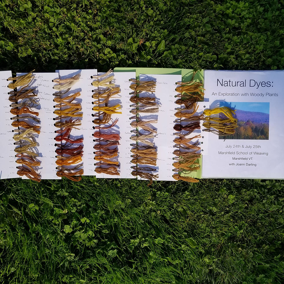 Thumbnail: Natural Dyes Found in Trees & Shrubs | Joann Darling