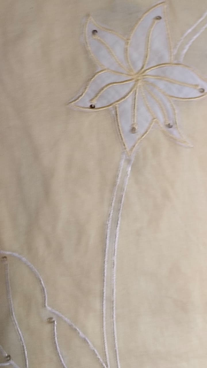 Thumbnail: Mulmul Cotton Kurta Set with Palazzo for Women – Floral Embroidered Soft Mal Cot