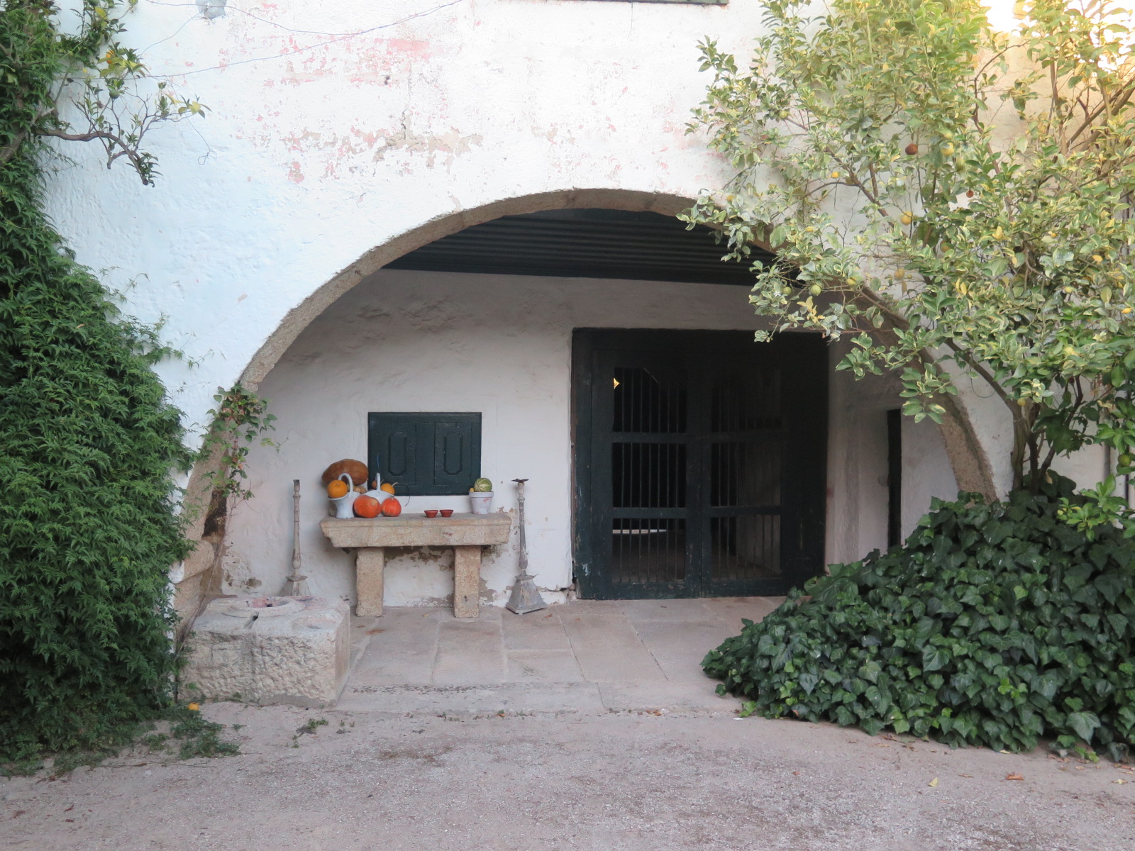 Corner in the "Mushroom" Garden