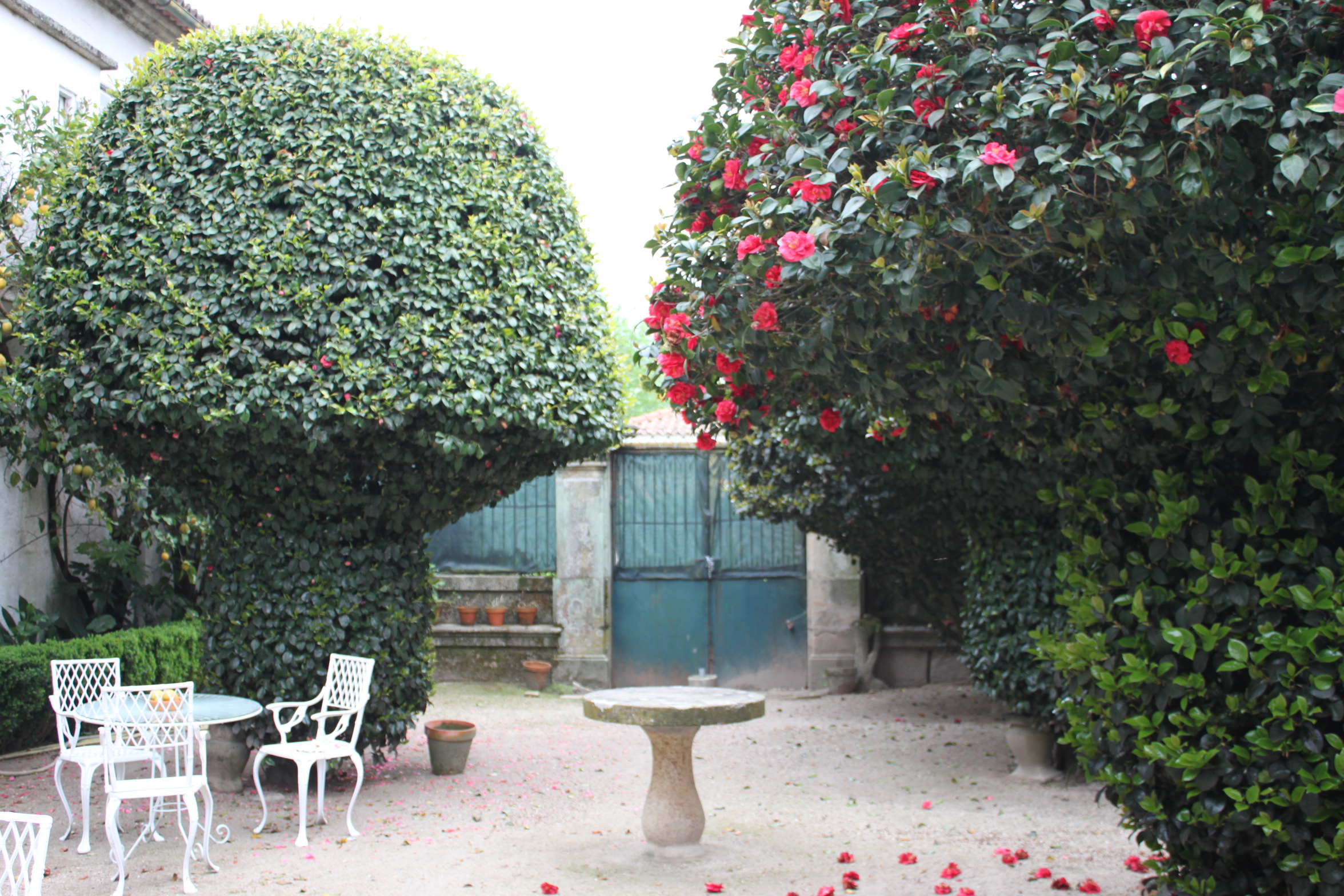The "Mushroom" Garden