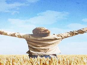 Living the life: 3 Ways to Live God's Plan Today