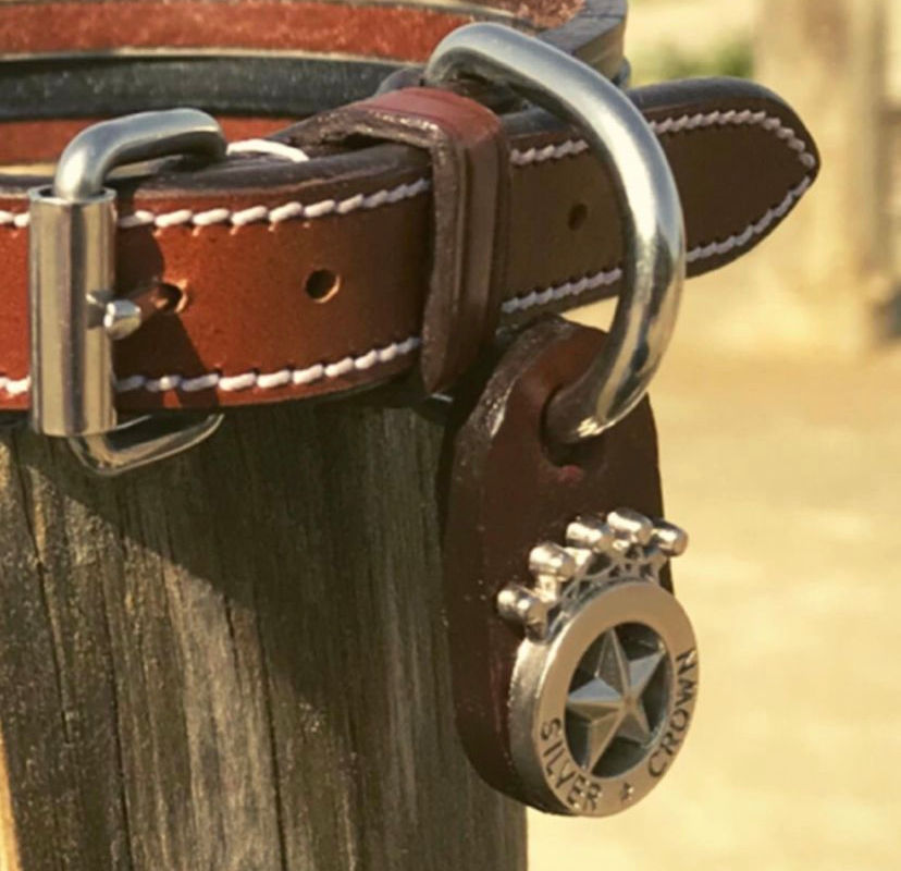 Thumbnail: SILVER CROWN France Hundehalsband Dog Collar 4 Straps