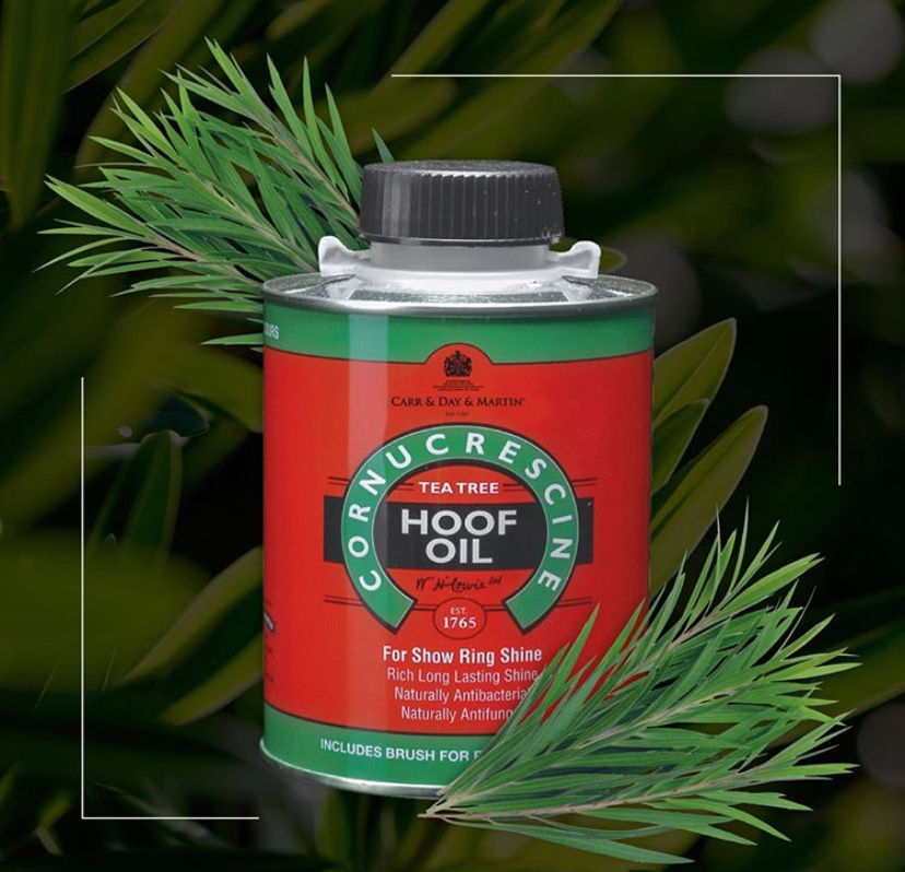 Miniaturbild: Carr&Day&Martin CORNUCRESCINE Teebaum Huföl Step 4