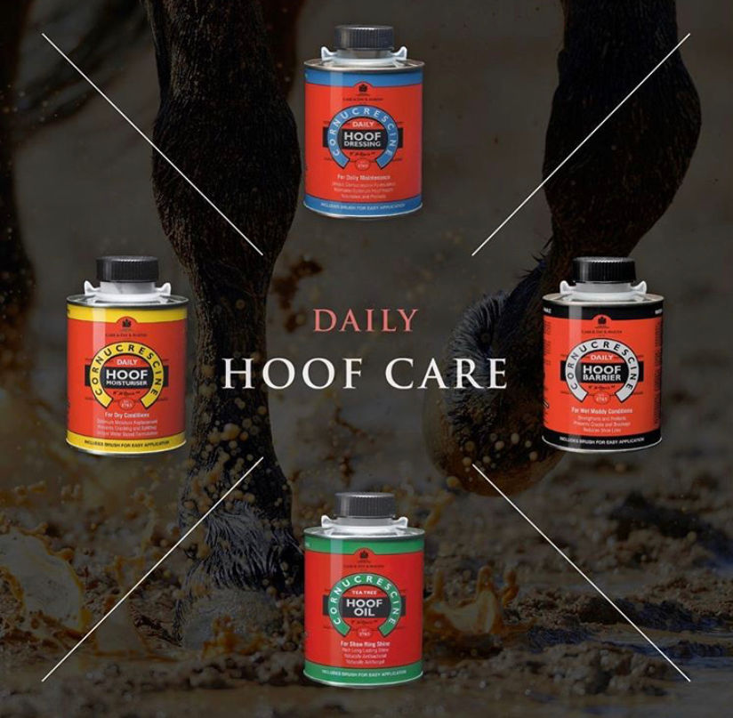 Miniaturbild: Carr&Day&Martin CORNUCRESCINE Tägliche Hufpflege  Step 1