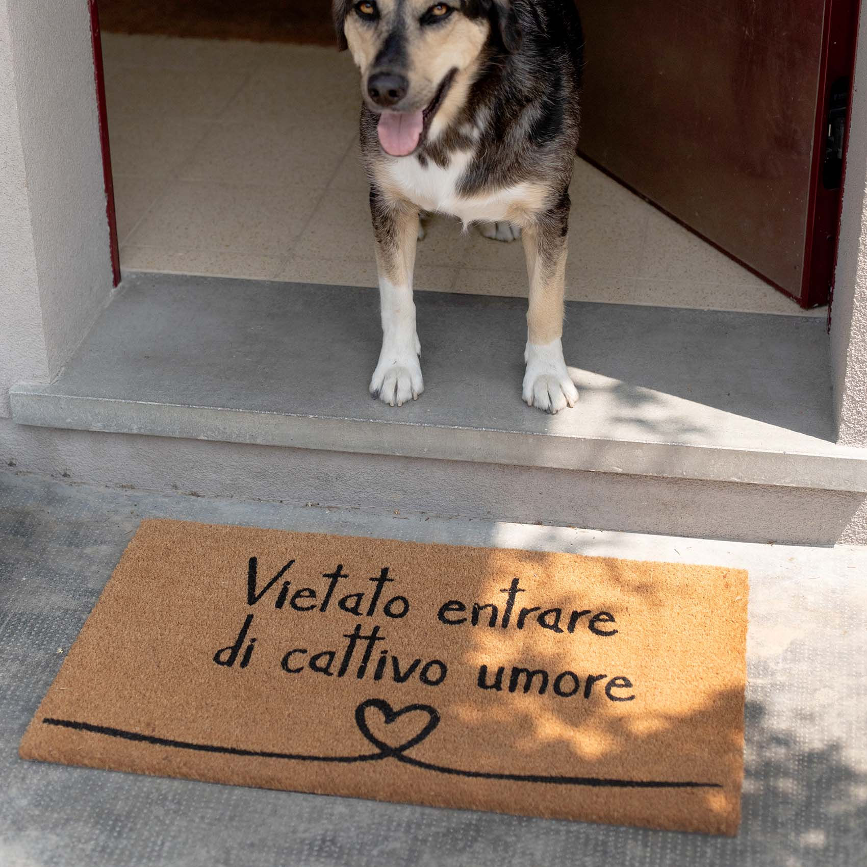 Zerbino decoro Vietato Entrare Di Cattivo Umore
