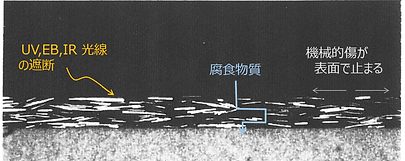 断面写真.png