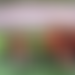 2026.02.28 Volleyball Activity (사진)