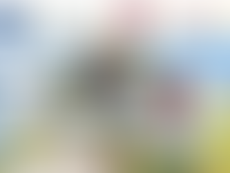 Y.E.S. 국제학교 졸업생 소식