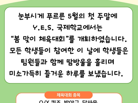 2026.05.02 2026년 봄 맞이 체육대회