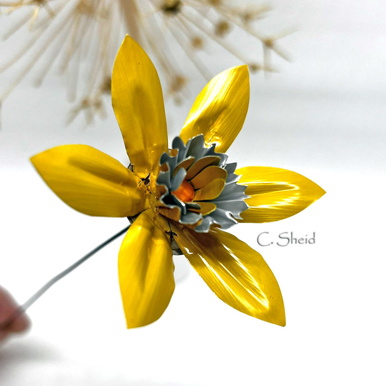 Jonquille immortelle indoor KRosHandMade