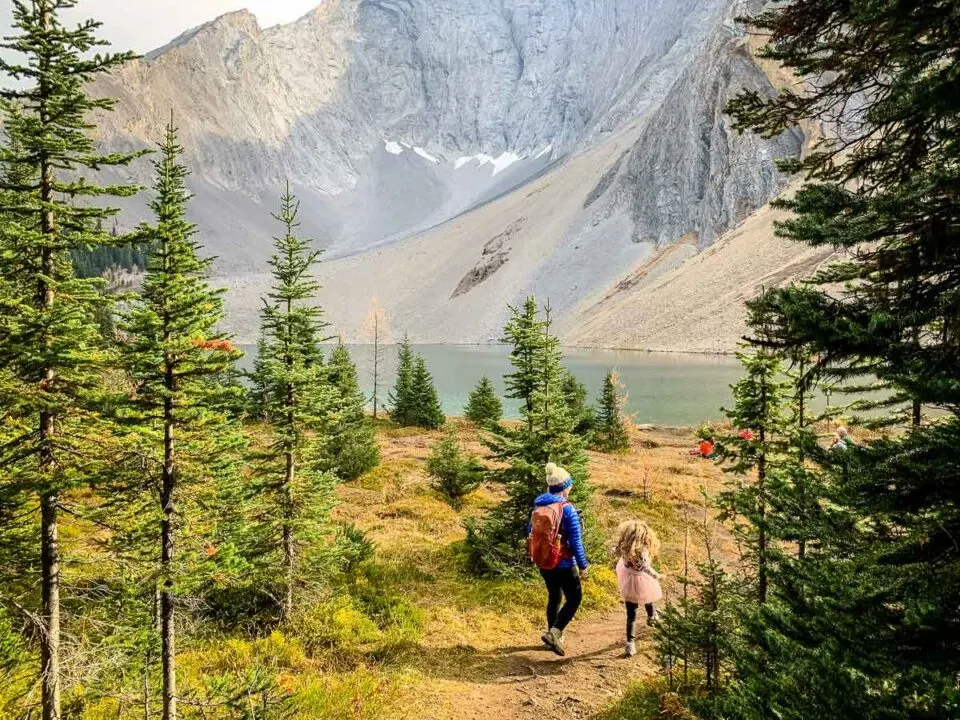 Meadow-near-Rummel-Lake-Kananaskis-10-km-hikes-960x720.jpg.webp