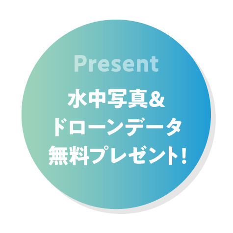 present_maru.gif
