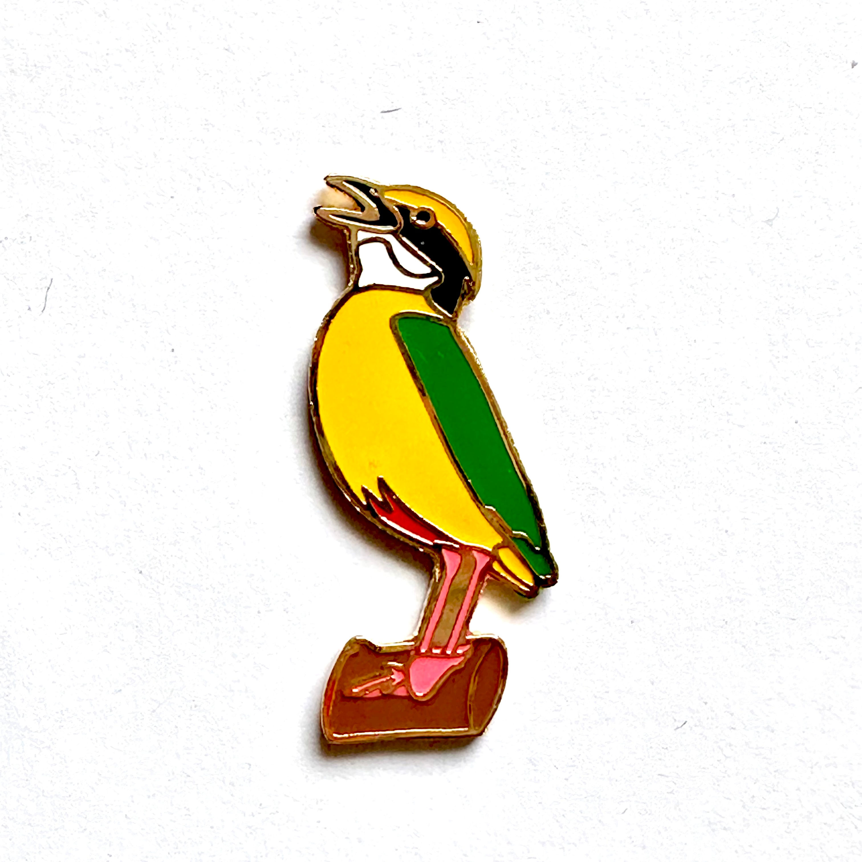 Indian pitta