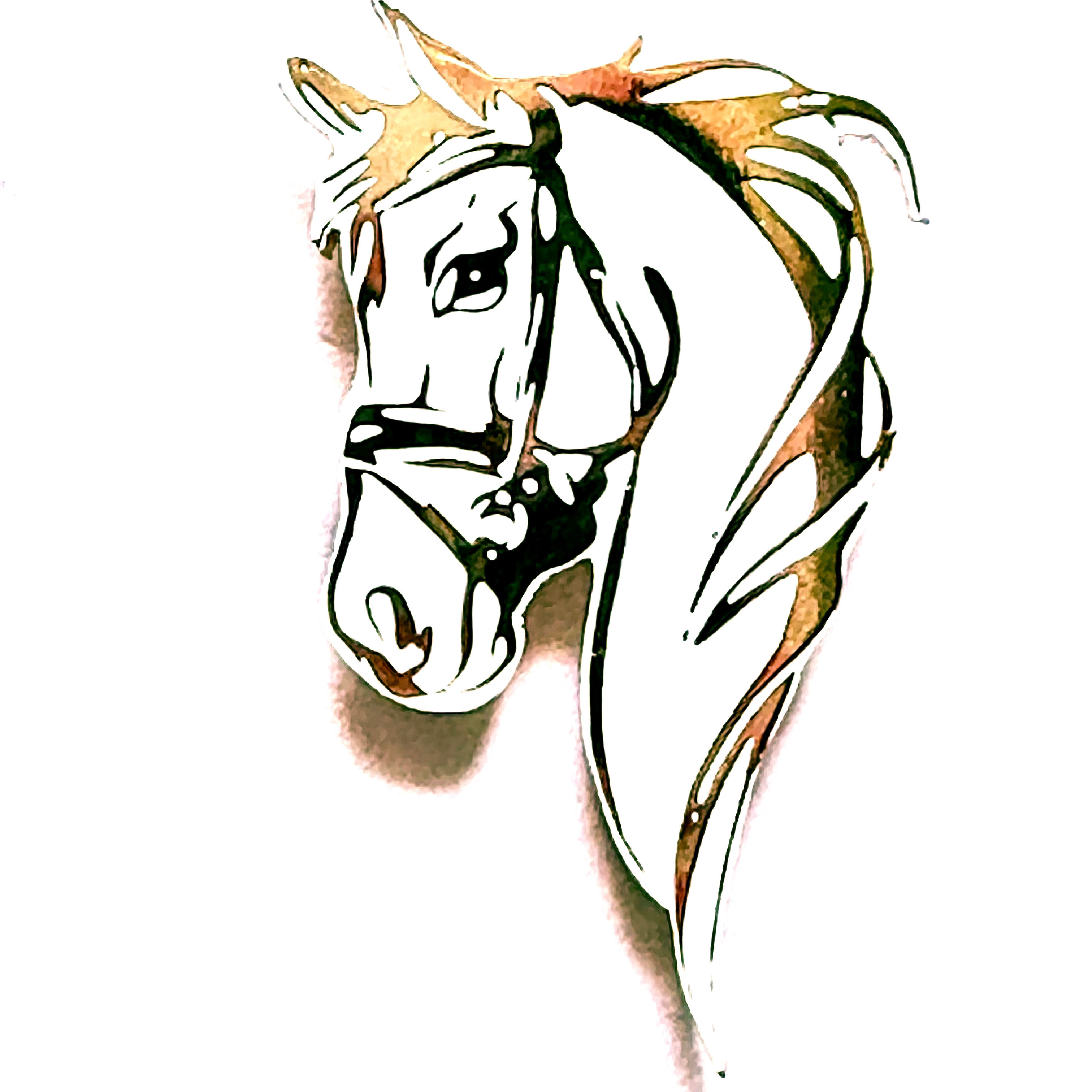 Horse face
