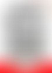 Last-minute Christmas lawn prep!