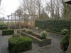 Tuin met plantenbak