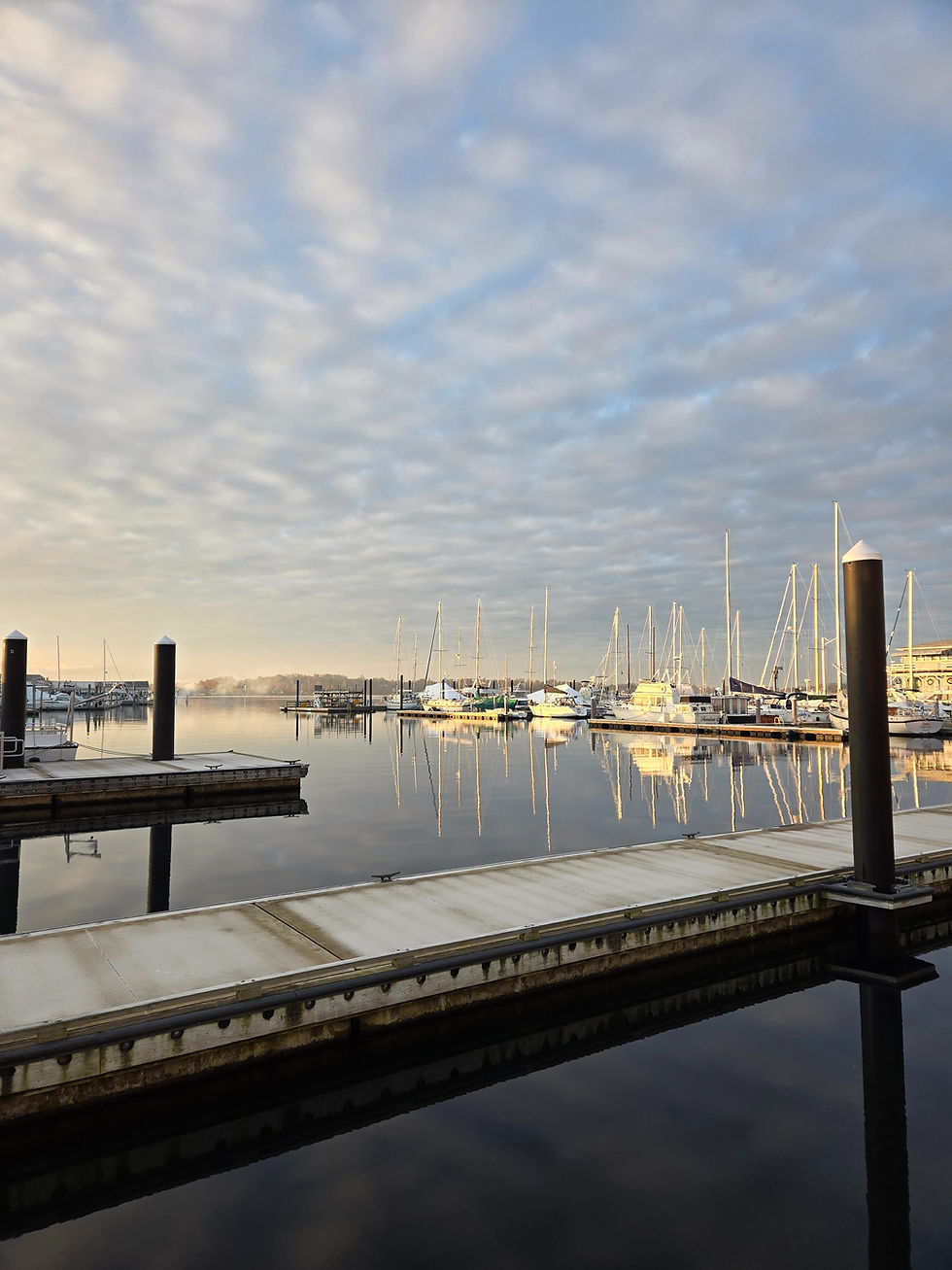 boats in marina at Newport RI harbor