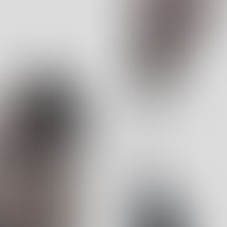 De l'imitation à l'individuation 