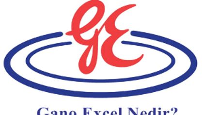 Gano Excel nedir ne için kullanılır?