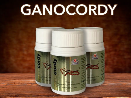 Cordyceps mantarı faydaları