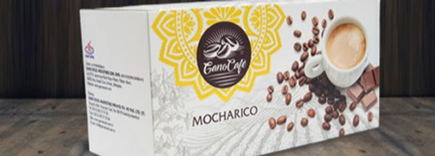 MRICO-Mocharico_edited.jpg