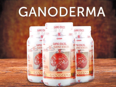 Ganoderma (Reishi) Nedir? Faydaları ve Kullanımı