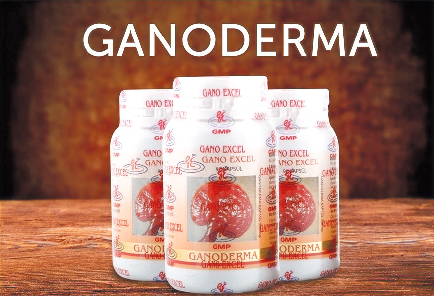 Ganoderma (Reishi) Nedir? Faydaları ve Kullanımı