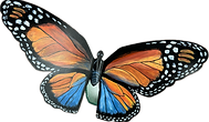 IMG_9840.PNG