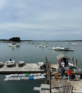 Lobster catch 2025.heif