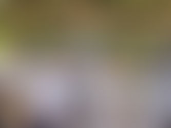 Pareja italiana se casa a través de los ritos bengas, en Corisco.