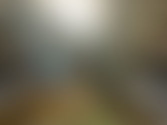 Obiang Nguema Mbasogo:" debemos redimizar la Administración Pública y luchar contra la corrupción"