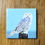 Thumbnail: Snowy Owl Bird Magnet