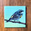 Thumbnail: Yellow-rumped Warbler Bird Magnet