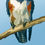 Thumbnail: Belted Kingfisher - Bird Art - Graphic Art Print