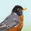 Thumbnail: American Robin - Bird Art - Graphic Art Print