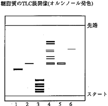Pathogen Antiinfectant