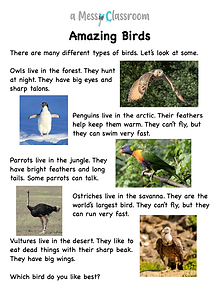 New amazing bird text photo.png