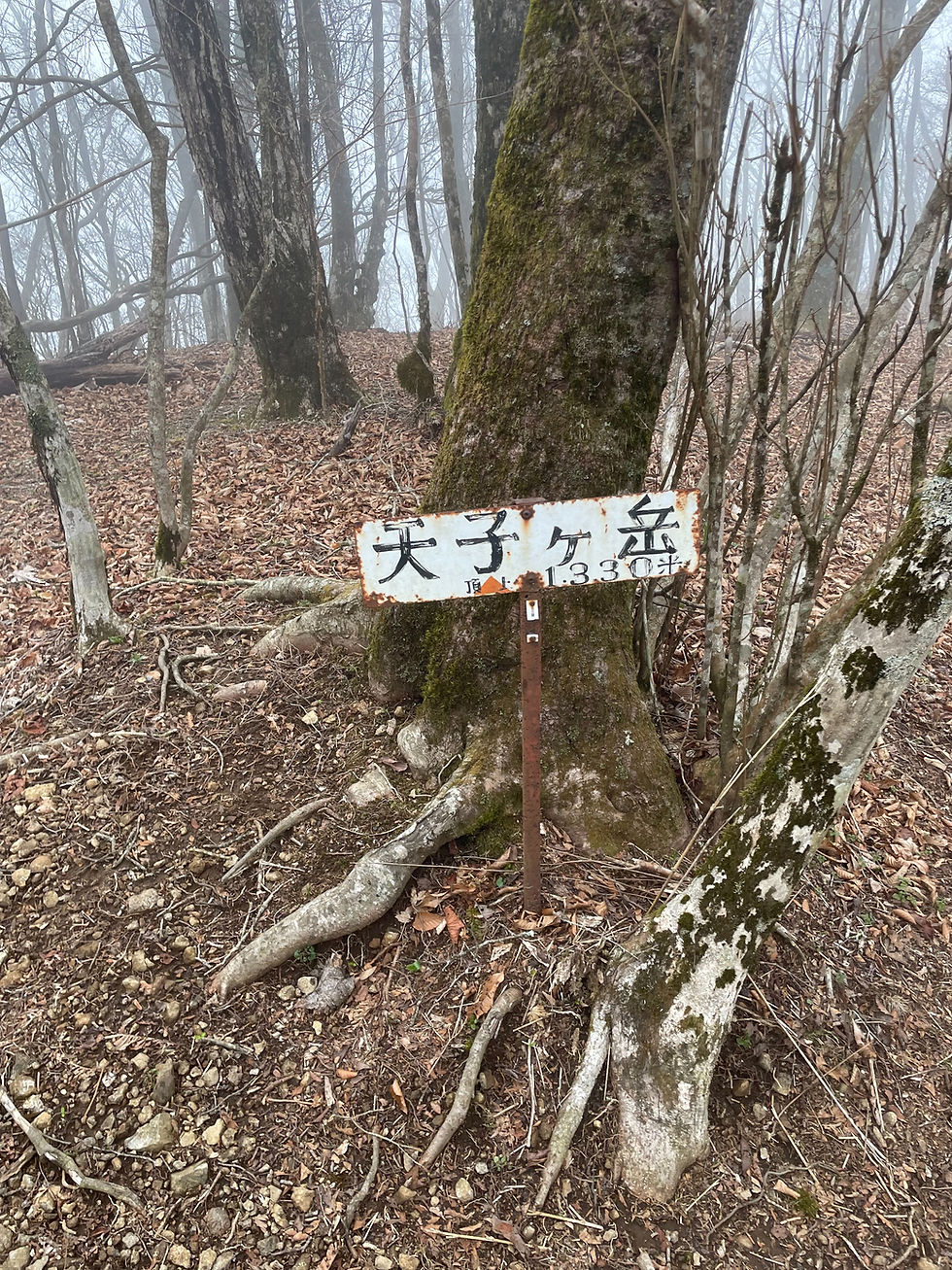 2026.4.14 天子山塊 長者ヶ岳~天子ヶ岳(天子ヶ岳山頂からダイレクト下降) 会山行