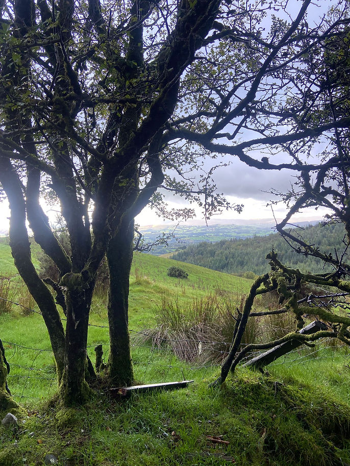 Bhakti Sept 26 Landing Page.jpg