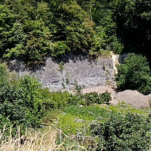 Fels-01.jpg