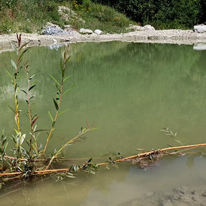 wasser-01.jpg
