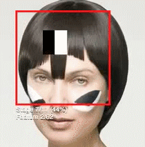 facereog