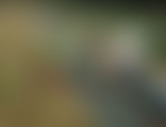 2015 - Jean Becker et l'AMAP de la Kohlhuette