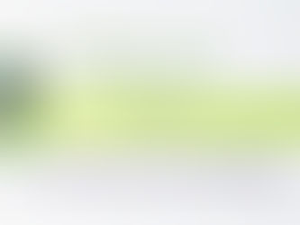 Le SILLON de décembre 2012